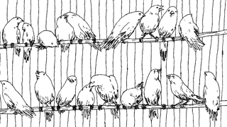  Animation International Market 3D WIRE